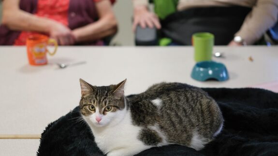 Gériatrie – Unité de Soins de Longue Durée