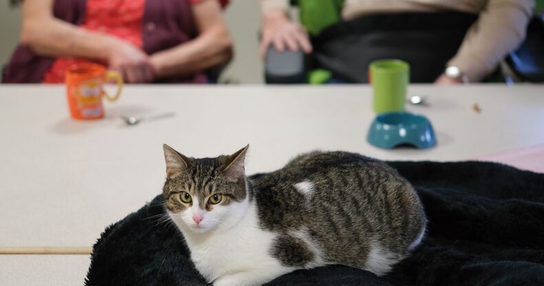 Image principale de la page Gériatrie – Unité de Soins de Longue Durée