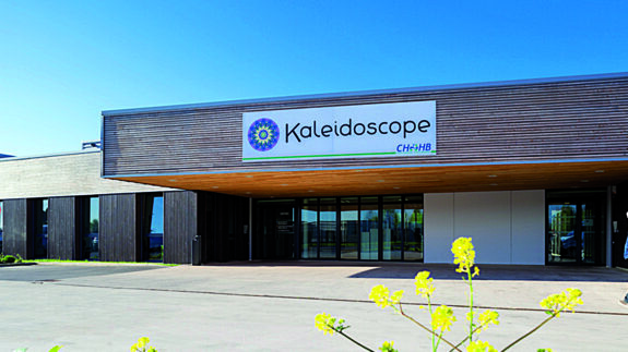 Psychiatrie infanto-juvénile (pédopsychiatrie)