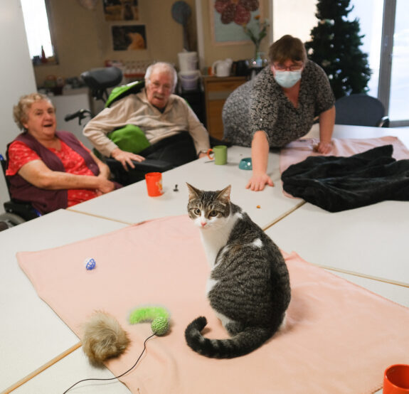La ronronthérapie pour le bien-être des résidents !