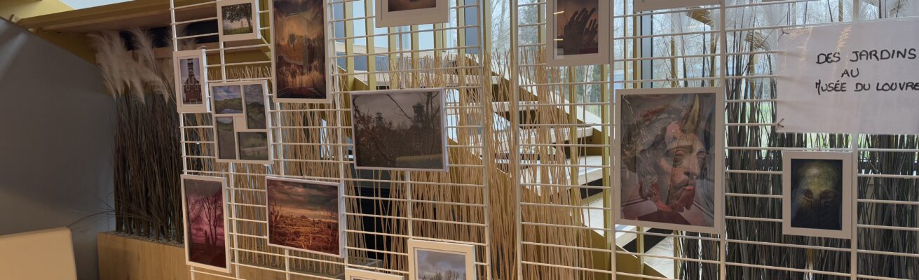 Médiation par la photo : l’art de raconter des parcours !