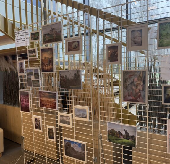 Médiation par la photo : l’art de raconter des parcours !