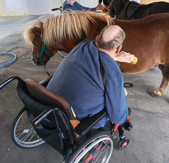 Retour sur une belle activité de médiation animale au Centre Hospitalier d’Hénin-Beaumont.